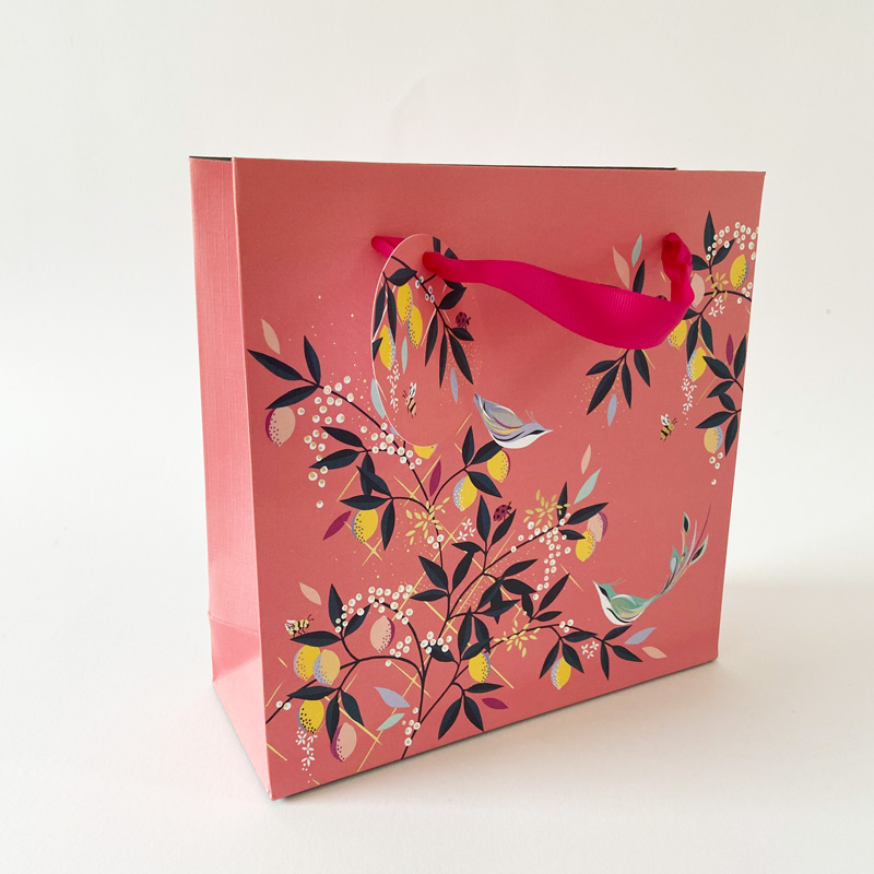 Geschenktüte-Pink-mit Vögeln stehend fotografiert
